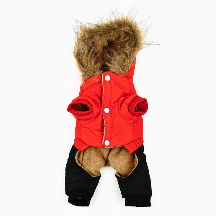 Одежда для собак. Комбинезон зимний «Тёплая зима», красно-чёрный, размер S Одежда для собак. Комбинезон зимний «Тёплая зима», красно-чёрный, размер S