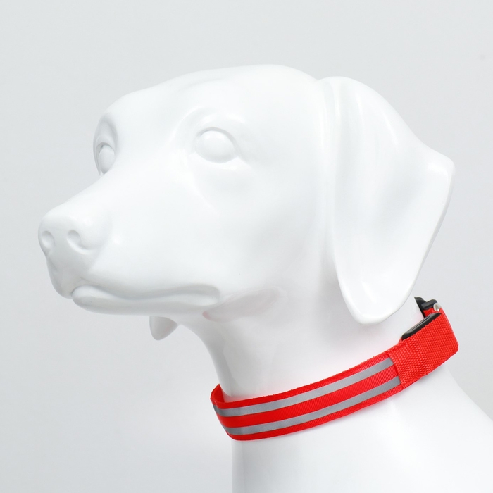 Ошейник с подсветкой Двойная полоса размер XL, ОШ 52-60 х 2,5 см, 3 режима свечения красный 97722 Ошейник с подсветкой Двойная полоса размер XL, ОШ 52-60 х 2,5 см, 3 режима свечения красный 97722