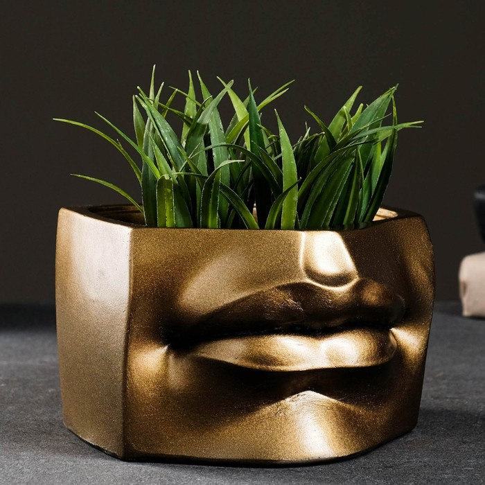 Кашпо - органайзер Кашпо - органайзер "Губы Давида" бронза, 16х11х15,5см