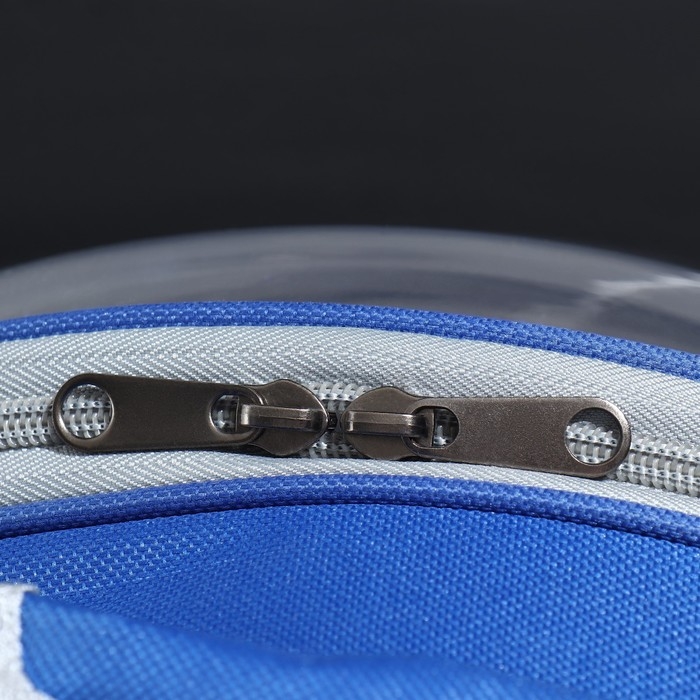 Рюкзак для переноски кошек и собак, прозрачный, 31 х 28 х 42 см, синий Рюкзак для переноски кошек и собак, прозрачный, 31 х 28 х 42 см, синий