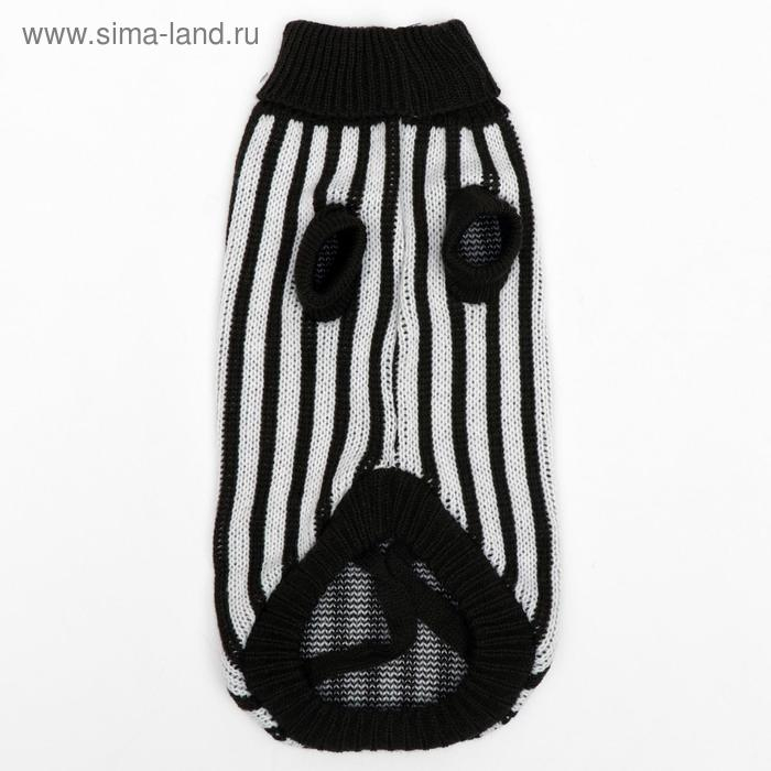 Свитер, размер 12 (ДС 36-51, ОШ 18-33, ОГ 32-47 см), микс расцветок Свитер, размер 12 (ДС 36-51, ОШ 18-33, ОГ 32-47 см), микс расцветок