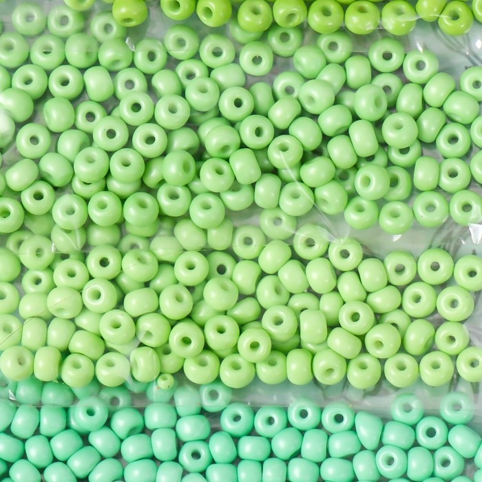 Бисер круглый 6/0 Бисер круглый 6/0 "Цвета листвы" 6 цветов х 10 гр 20х8 см