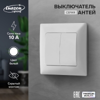 Выключатель Luazon Lighting "Антей", 10 А, 2 клавиши, скрытый, белый