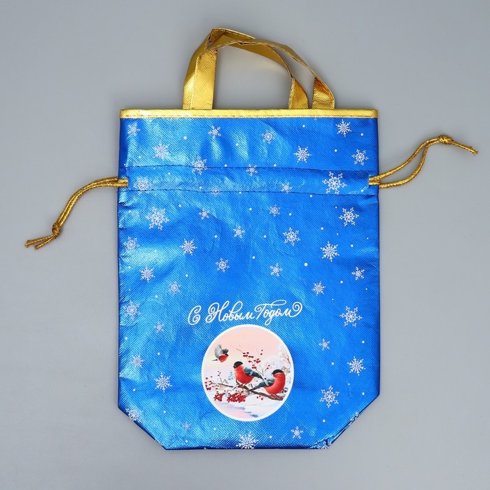 Пакет-мешок из нетканного материала «Поверь в сказку», 25 х 32 см, Новый год Пакет-мешок из нетканного материала «Поверь в сказку», 25 х 32 см, Новый год