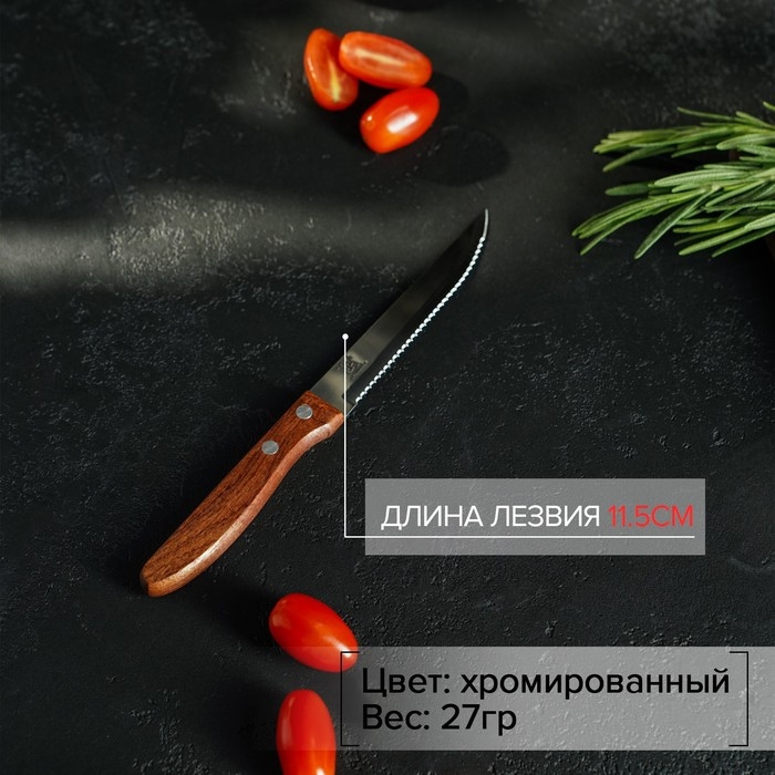 Нож кухонный Доляна «Эльбрус», зубчатое лезвие 11,5 см Нож кухонный Доляна «Эльбрус», зубчатое лезвие 11,5 см