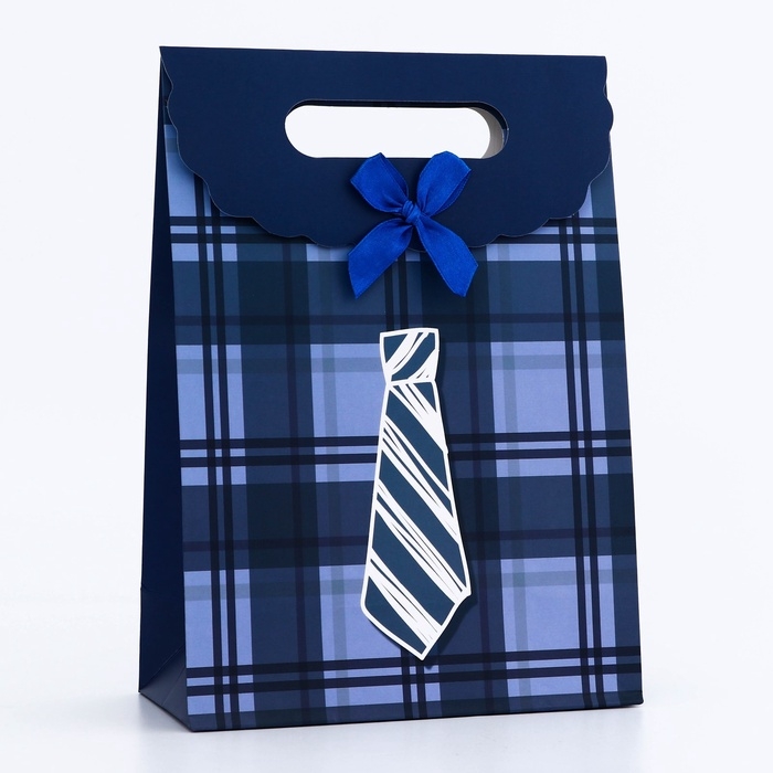 Подарочная коробка-пакет, упаковка с вырубной ручкой, Подарочная коробка-пакет, упаковка с вырубной ручкой, "Мужской галстук" , 19 х 9 х 27 см