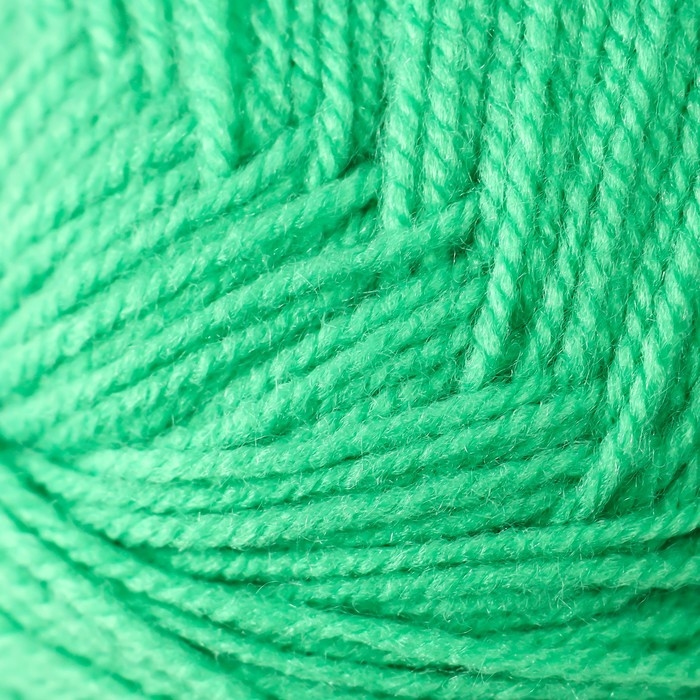 Пряжа Пряжа "Детская новинка" 100% акрил 200м/50гр (65-Экзотика)