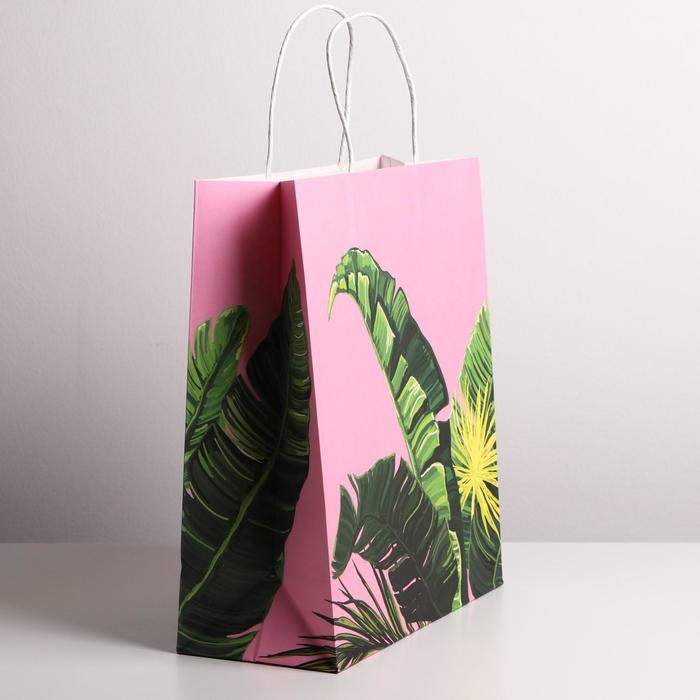 Пакет подарочный крафтовый, упаковка, «Тропики», 26 х 30 х 11,5 см Пакет подарочный крафтовый, упаковка, «Тропики», 26 х 30 х 11,5 см