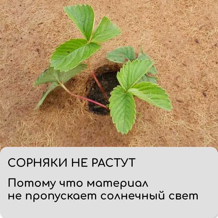 Кокосовое полотно для мульчирования, 5 × 1 м, «Мульчаграм» Кокосовое полотно для мульчирования, 5 × 1 м, «Мульчаграм»