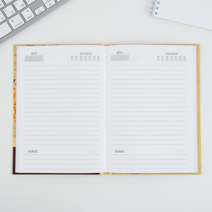 Ежедневник &laquo;Учителю: Золотого учителя&raquo;, формат А5, 80 листов, МИКС