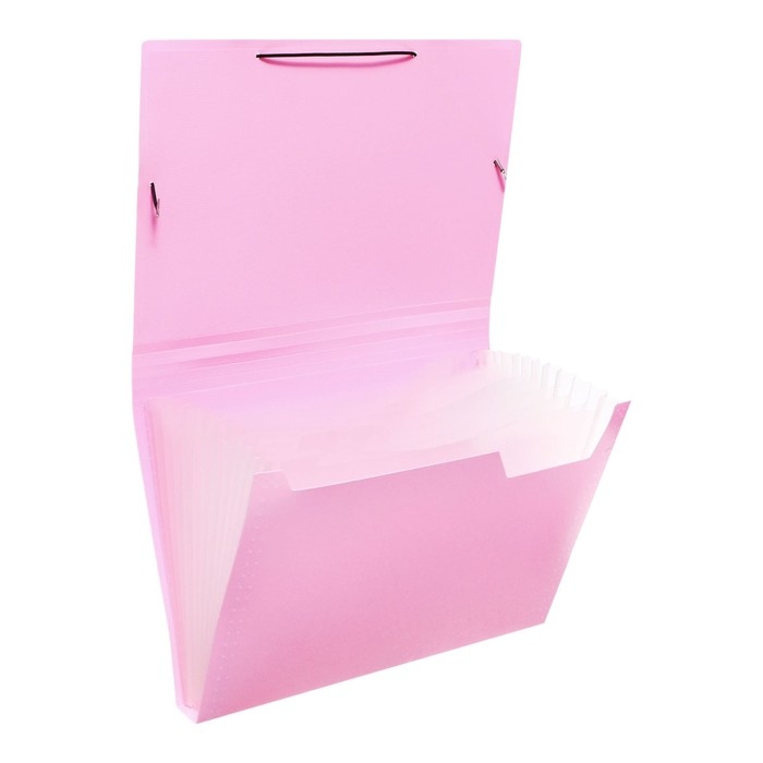 Папка картотека А4, Calligrata Папка картотека А4, Calligrata "Акварель", 13 отделений, пластиковая, 700 мкм, фламинго, резинка чёрная