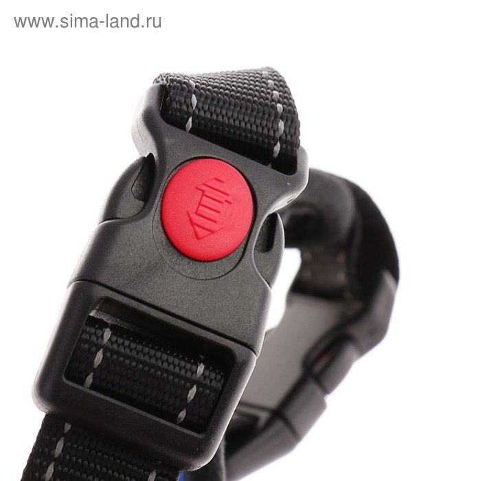 Шлейка К7 мягкая светоотражающая, размер S, ОГ 44-55 см, вес 5-9 кг, синяя Шлейка К7 мягкая светоотражающая, размер S, ОГ 44-55 см, вес 5-9 кг, синяя