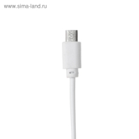 Сетевое зарядное устройство Luazon LCC-25, 2 USB, 1 А, кабель microUSB, красно-белое