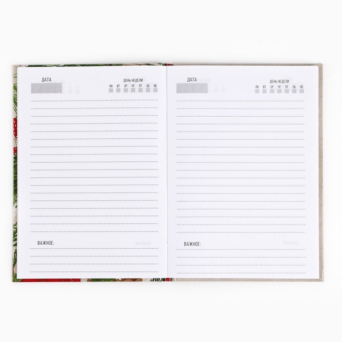 Новый год. Ежедневник классический 7БЦ А5, 80 л &laquo;Пусть мечты сбудутся! Волшебство рядом&raquo;