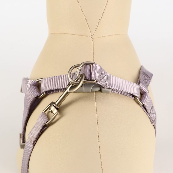 Комплект амуниции с мягкой шлейкой, M, поводок 120 х 1,5 см, ОШ 26-48 см, ОГ 26-48 см, серый Комплект амуниции с мягкой шлейкой, M, поводок 120 х 1,5 см, ОШ 26-48 см, ОГ 26-48 см, серый