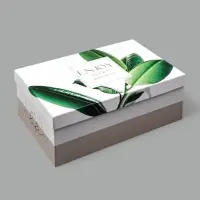 Набор коробок 10 в 1, упаковка подарочная, &laquo;GREEN&raquo;, 12&times;7&times;4 - 32.5&times;20&times;12.5 см