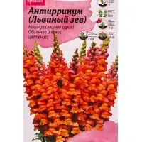 Семена цветов Антирринум &laquo;Кул Оранж&raquo;, 10 шт.
