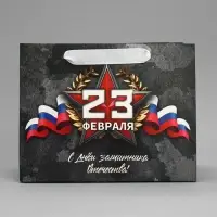 Пакет подарочный ламинированный, упаковка, &laquo;23 февраля&raquo;, MS 23&times;18&times;10 см