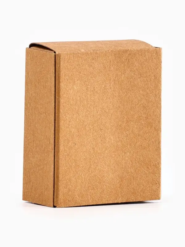 Значок в коробочке &laquo;Капибара&raquo;, 2.5&times;4 см