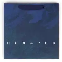 Пакет подарочный ламинированный квадратный, упаковка, &laquo;Настоящему мужчине&raquo;, 22&times;22&times;11 см