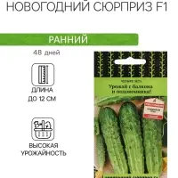Семена Огурец "Новогодний сюрприз F1" 12 шт