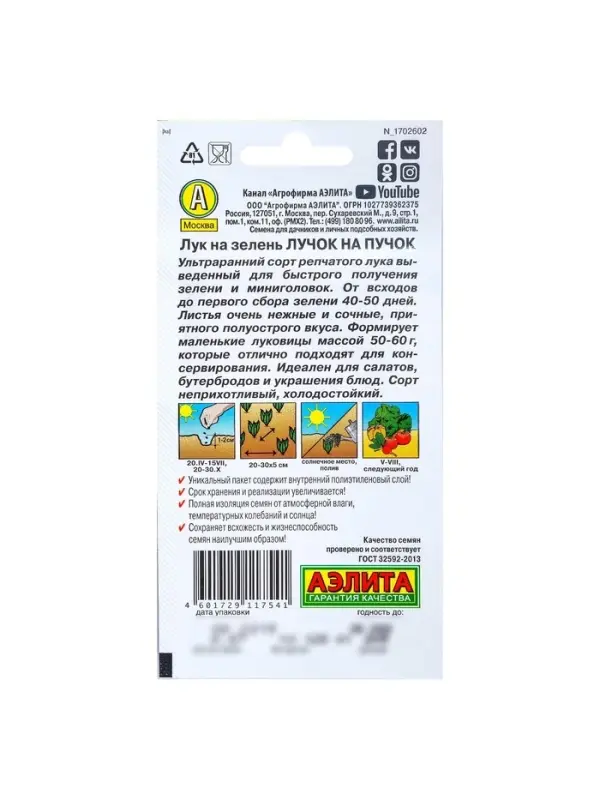 Набор семян Лук на зелень Набор семян Лук на зелень "Лучок на пучок", 5 шт.