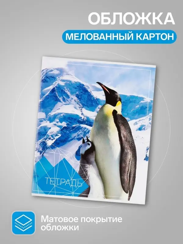 Тетради 96 листов в клетку, Calligrata &laquo;Животные&raquo;, серые листы, 4 штук