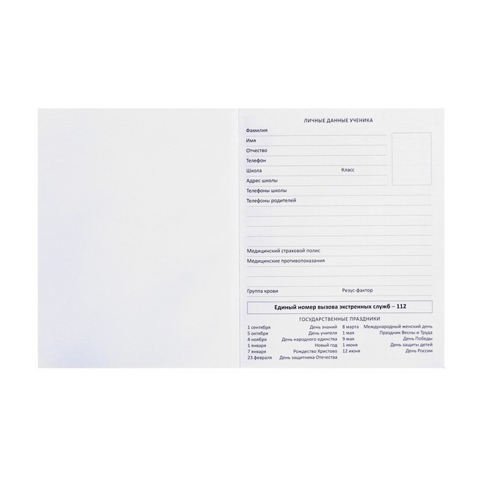 Дневник универсальный для 1-11 классов &laquo;Герб&raquo;, твёрдая обложка, искусственная кожа, тиснение фольгой, ляссе, 48 листов