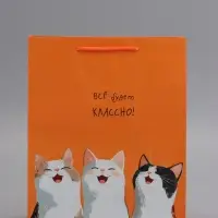 Пакет подарочный, ламинированный, "Все будет классно" , 26 х 12 х 32 см