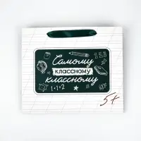 Подарочный пакет с открыткой &laquo;Классному классному&raquo;, 23 &times; 27 &times; 11,5 см