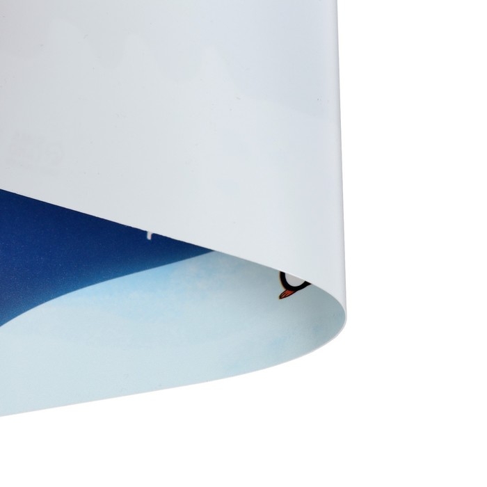 Накладка на стол пластиковая А3 (460 х 330 мм), Calligrata Накладка на стол пластиковая А3 (460 х 330 мм), Calligrata "Карта мира", 430 мкм, обучающая