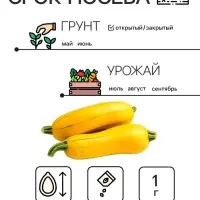 Семена Кабачок цукини &laquo;Желтоплодный&raquo;, 1 г, скороспелый, &laquo;Рецепты дедушки Никиты&raquo;