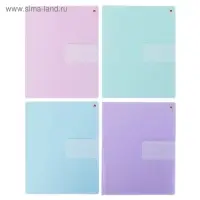 Тетрадь 18 листов клетка ZEFIR COLORS, обложка мелованный картон, выборочный лак, МИКС