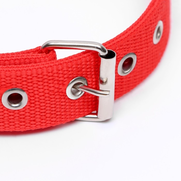 Ошейник двухслойный с вертлюгом, 58 х 3 см, полиэстер, красный Ошейник двухслойный с вертлюгом, 58 х 3 см, полиэстер, красный