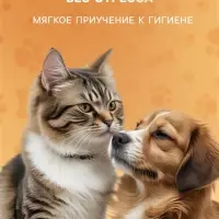 Влажные салфетки для ухода за домашними животными, для глаз и ушей, круглые, 120 шт.