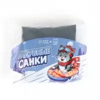 Ватрушка (тюбинг) Snow Cat, диаметр чехла 73 см, чёрная
