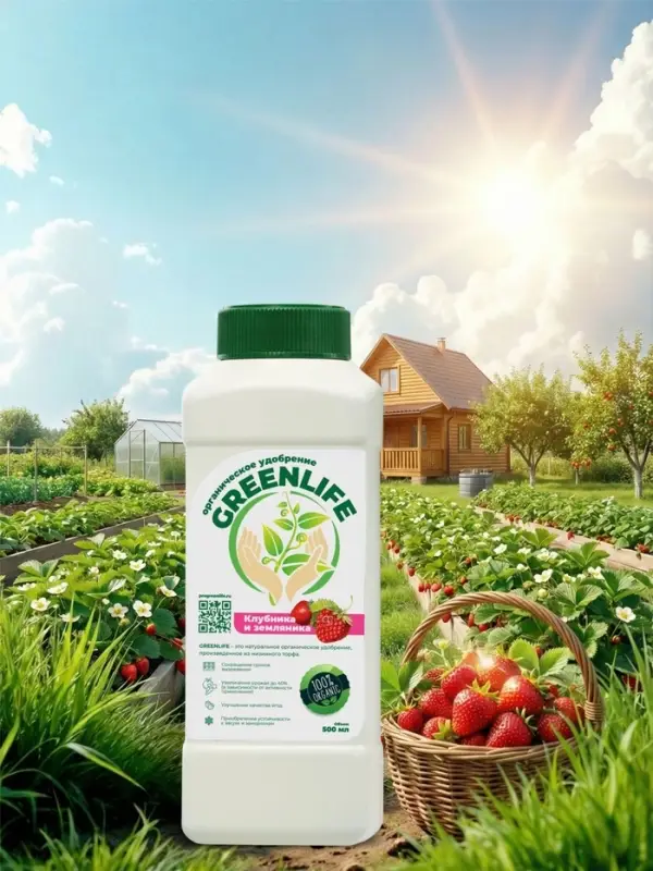 Органическое удобрение для клубники и земляники Greenlife, 500 мл