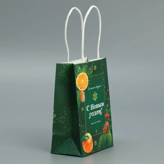 Пакет подарочный новогодний крафтовый «Тепло Нового года», 15 х 10 х 6 см Пакет подарочный новогодний крафтовый «Тепло Нового года», 15 х 10 х 6 см
