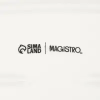 Блюдо фарфоровое Magistro &laquo;Бланш&raquo;, 40&times;13&times;4 см, белое
