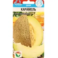 Семена Дыня &laquo;Карамель&raquo;, 7 шт., &laquo;Сибирский сад&raquo;