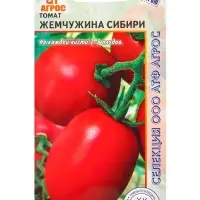 Семена Томат &laquo;Жемчужина Сибири&raquo;, 0.08 г, &laquo;Агросс&raquo;
