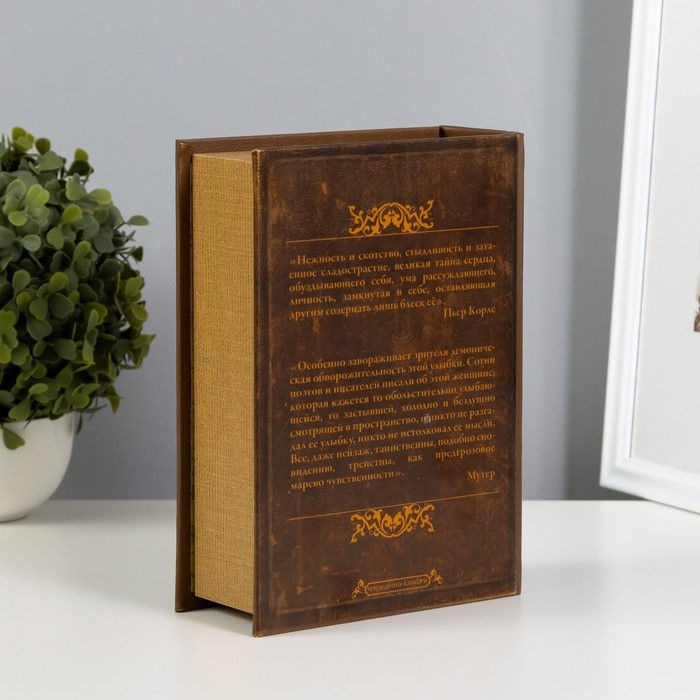 Сейф книга  Сейф книга "Мона Лиза" кожзам 22х16х7 см