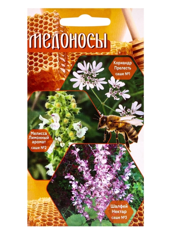 Семена Набор пряных трав-медоносов, привлекающих опылителей: Кориандр, Мелисса, Шалфей, 0,3 г 108847 Семена Набор пряных трав-медоносов, привлекающих опылителей: Кориандр, Мелисса, Шалфей, 0,3 г 108847