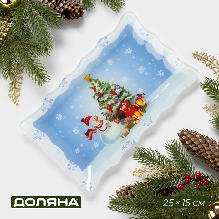 Блюдо стеклянное прямоугольное Доляна «Зимняя сказка», 25×15 см Блюдо стеклянное прямоугольное Доляна «Зимняя сказка», 25×15 см