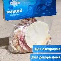 Набор ракушек, "Гребешок пуксидатус", размер 4 - 6 см, 100 г Набор ракушек, "Гребешок пуксидатус", размер 4 - 6 см, 100 г