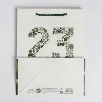 Пакет подарочный ламинированный, упаковка, &laquo;23 февраля&raquo;, MS 18&times;23&times;10 см