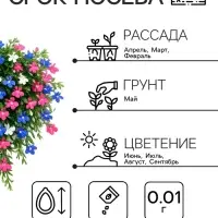 Семена цветов Лобелия &laquo;Каскад&raquo;, ампельная, смесь 0.01 г, &laquo;Рецепты дедушки Никиты&raquo;