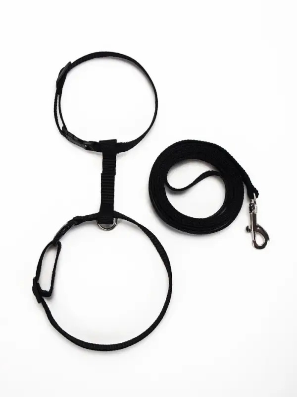 Комплект для кошек, ширина 1 см, ОШ 16.5-27 см, ОГ 21-35 см, поводок 120 см, чёрный