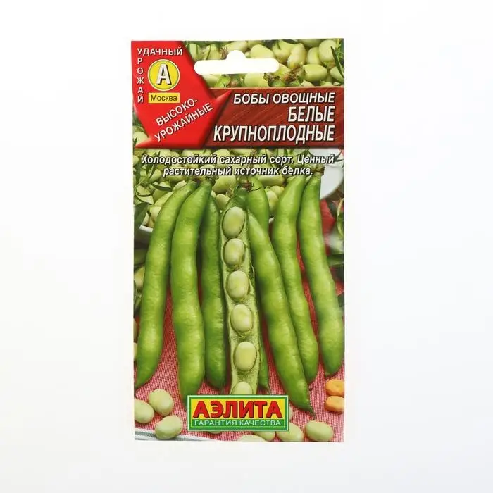 Семена Бобы овощные "Белые" крупноплодные, 10 г