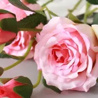 Цветы искусственные &laquo;Роза Августина галант&raquo;, d=6 см, h=55 см, светло-розовые